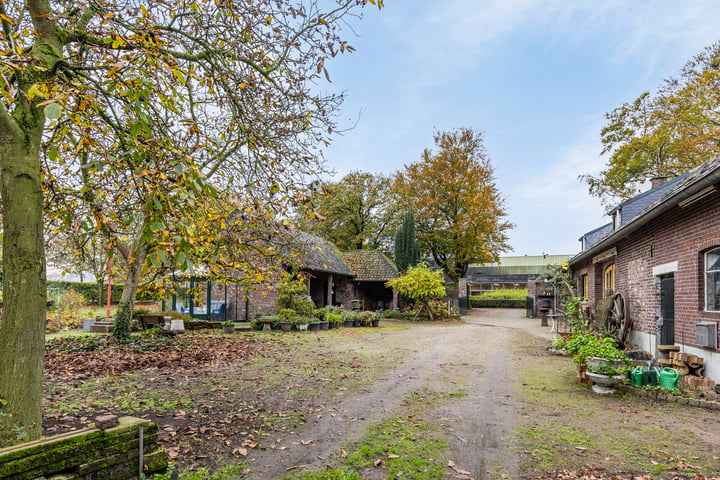 Bekijk foto 32 van Veld-Oostenrijk 16