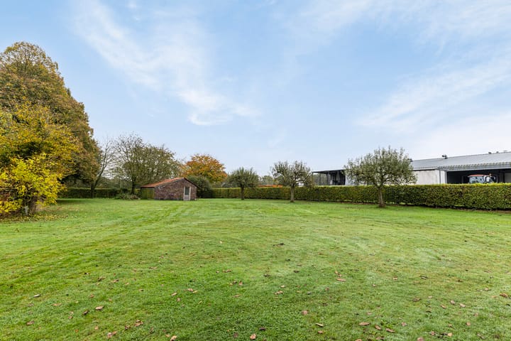 Foto 33 van Veld-Oostenrijk 16