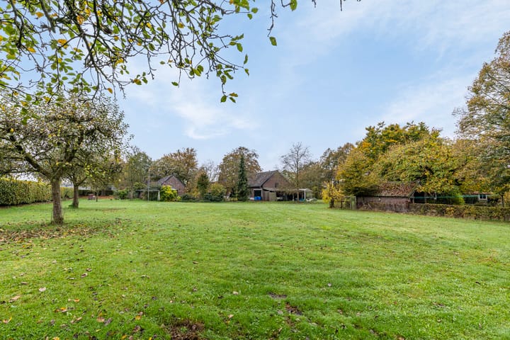 Foto 35 van Veld-Oostenrijk 16