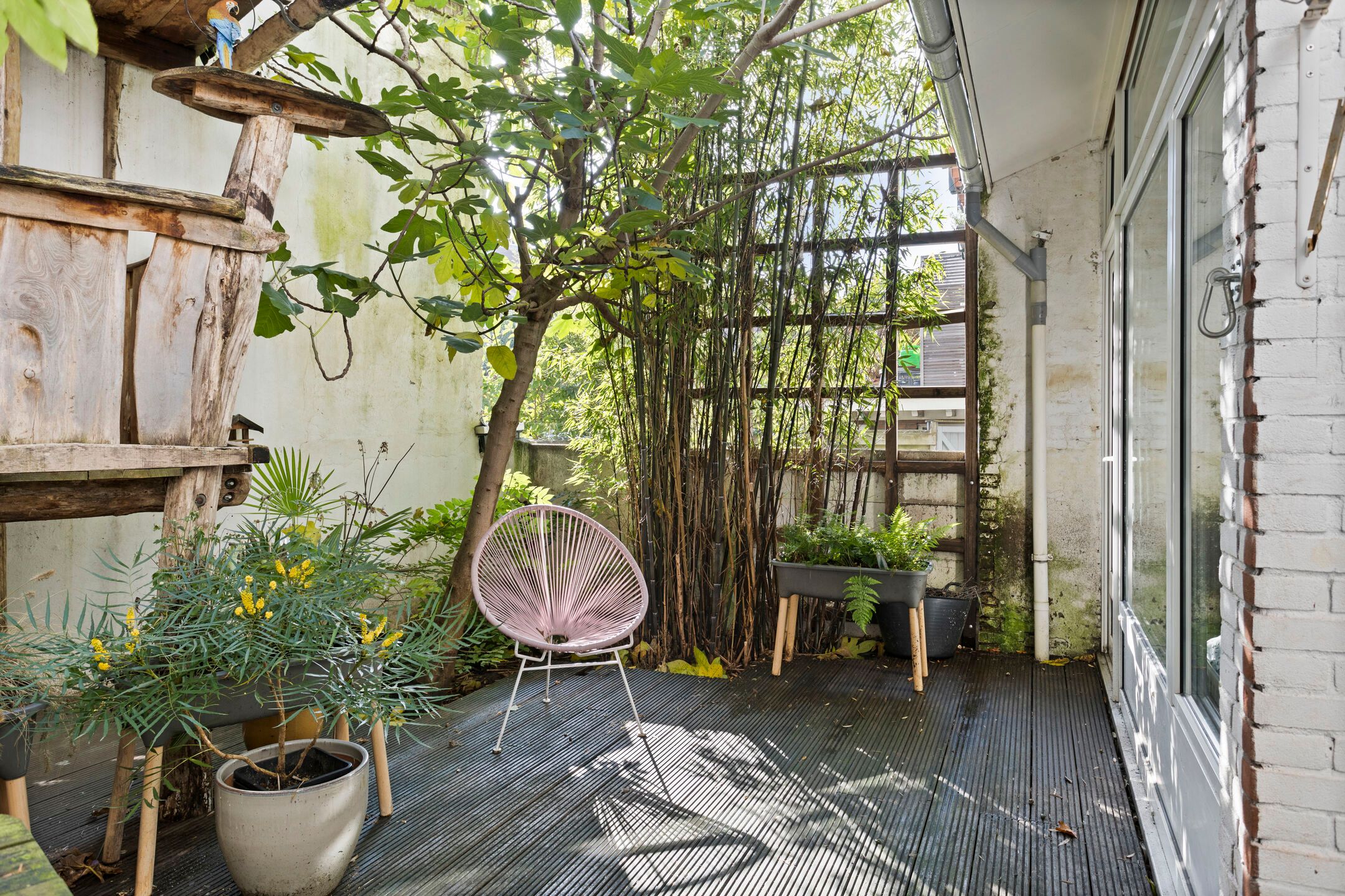 Photo 51 of St. Antonielaan 171