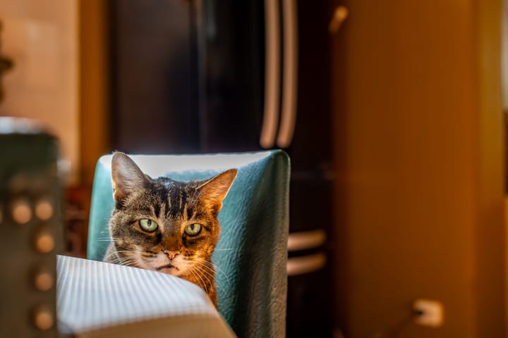 Photo 28 of Prinsenstraat 61