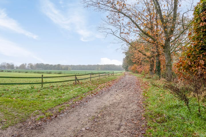 Foto 38 van Esdoornlaan 53