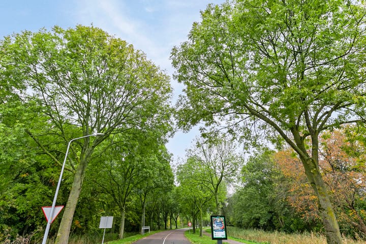 Foto 53 van Toernooiveld 4