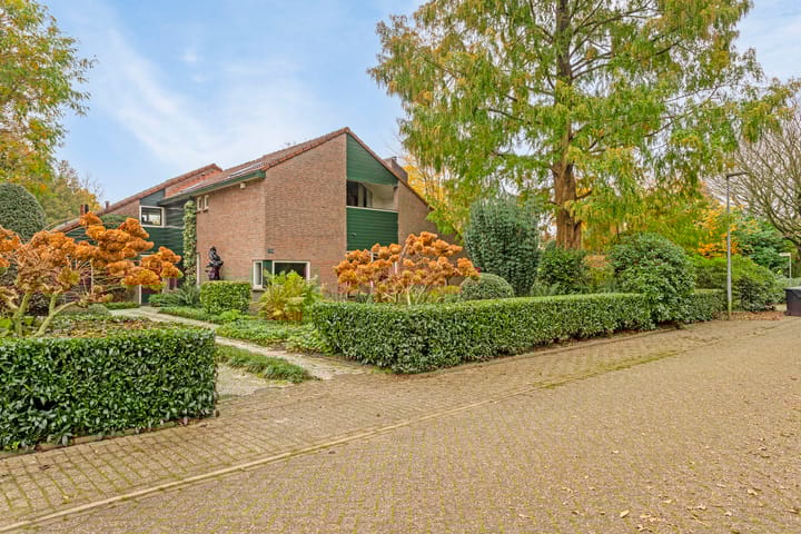 Foto 4 van Borgerspark 73