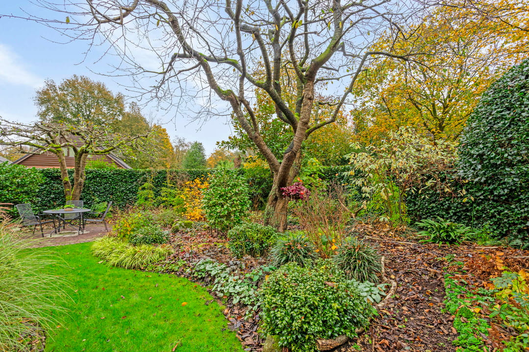 Foto 71 van Borgerspark 73