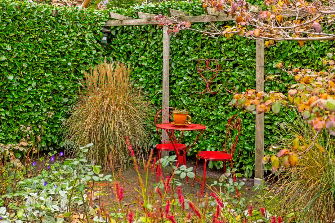 Foto 77 van Borgerspark 73