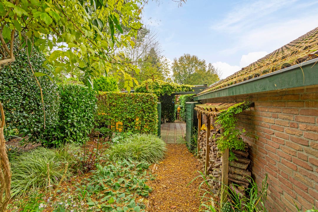 Foto 82 van Borgerspark 73