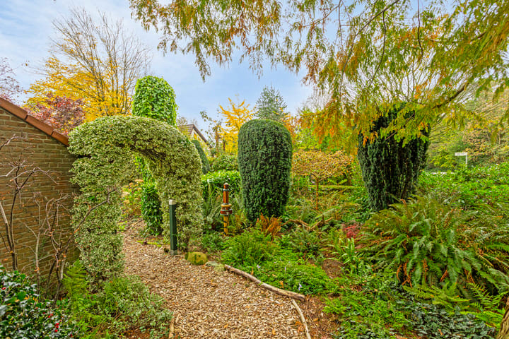 Foto 83 van Borgerspark 73