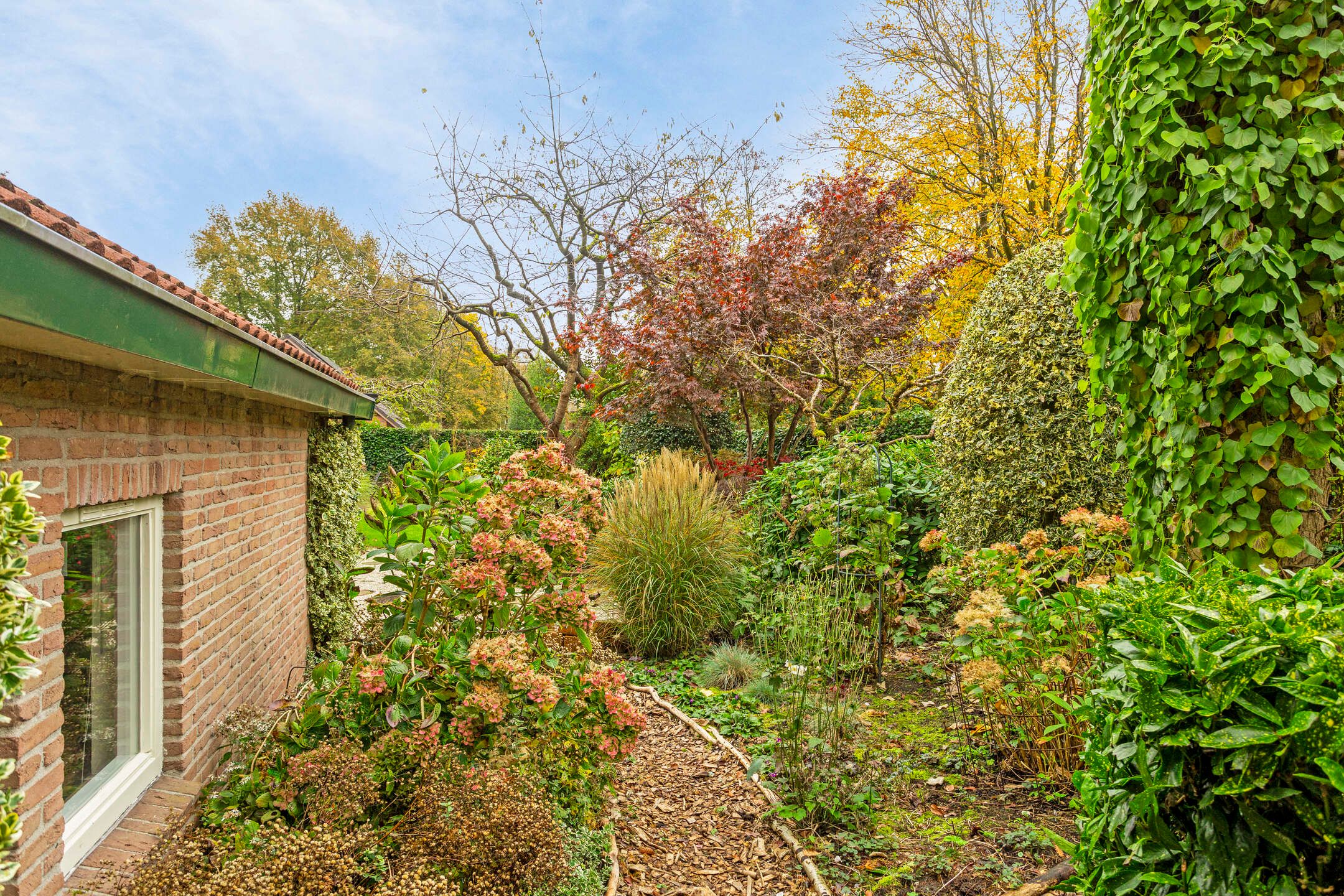 Foto 84 van Borgerspark 73