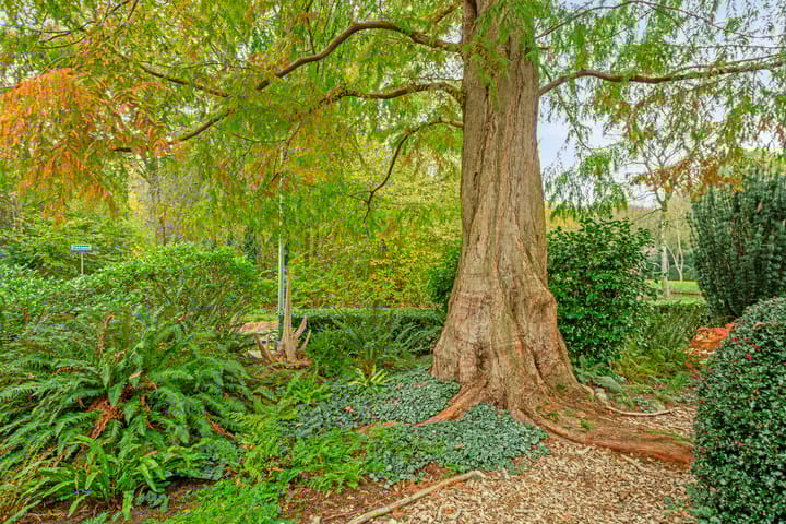 Foto 85 van Borgerspark 73