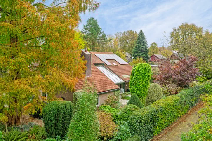 Foto 87 van Borgerspark 73