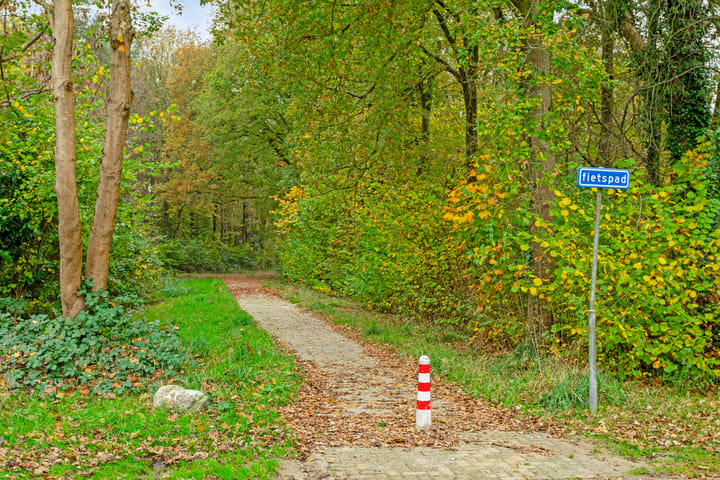 Foto 88 van Borgerspark 73