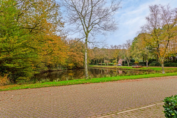 Foto 90 van Borgerspark 73