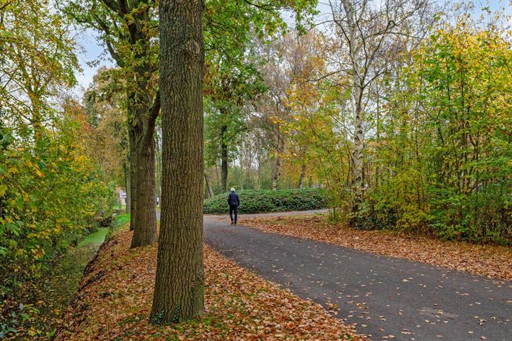 Bekijk foto 45 van Witteveenstraat 5