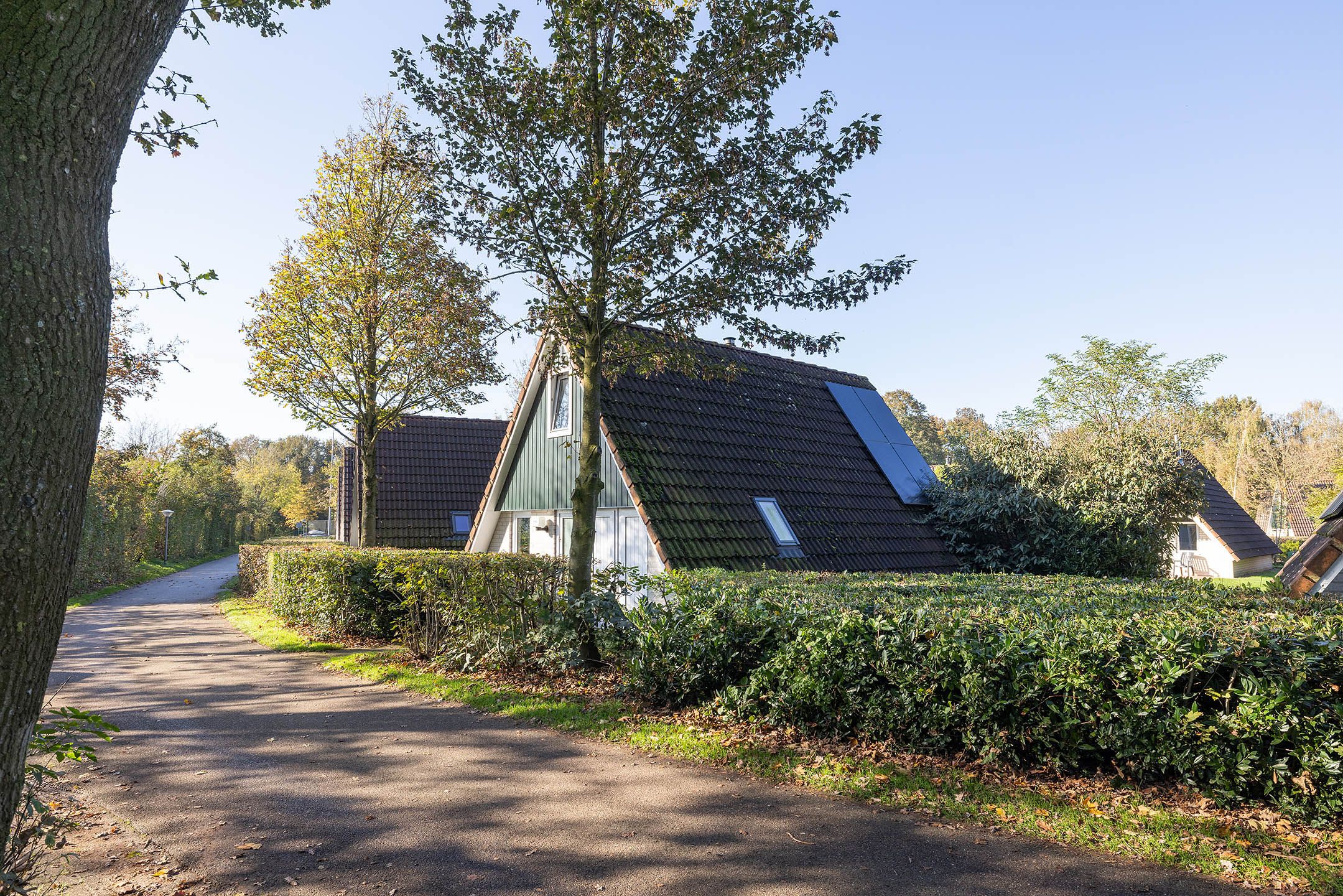 Foto 15 van Boslaan 1-R218