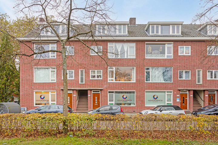 View photo 5 of Boergoensevliet 193-B