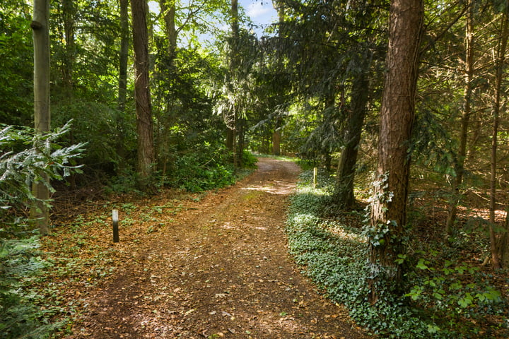 Bekijk foto 3 van Nijhofslaantje 2