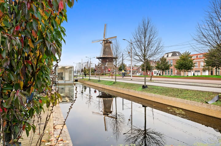 Foto 44 van De Vriesstraat 31