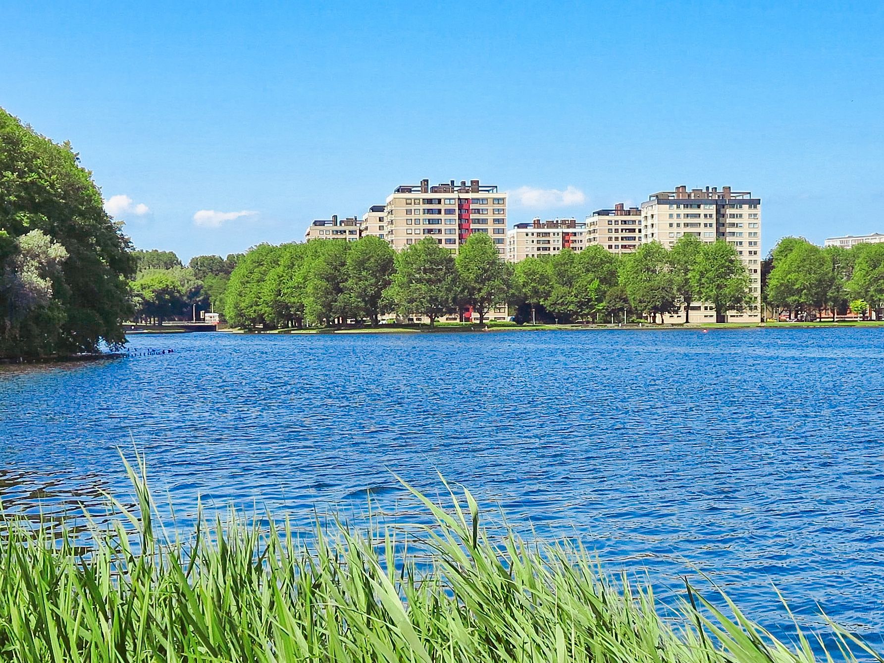 Photo 24 of Ruimzicht 305