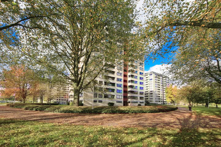 Foto 25 van Ruimzicht 305