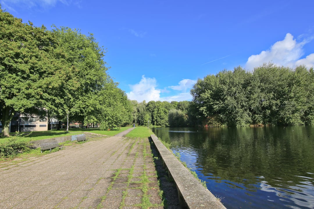 Photo 31 of Ruimzicht 305