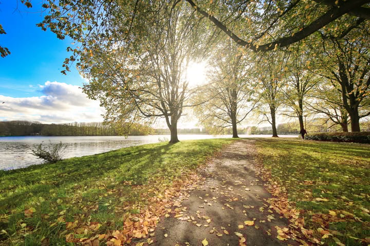 Foto 33 van Ruimzicht 305