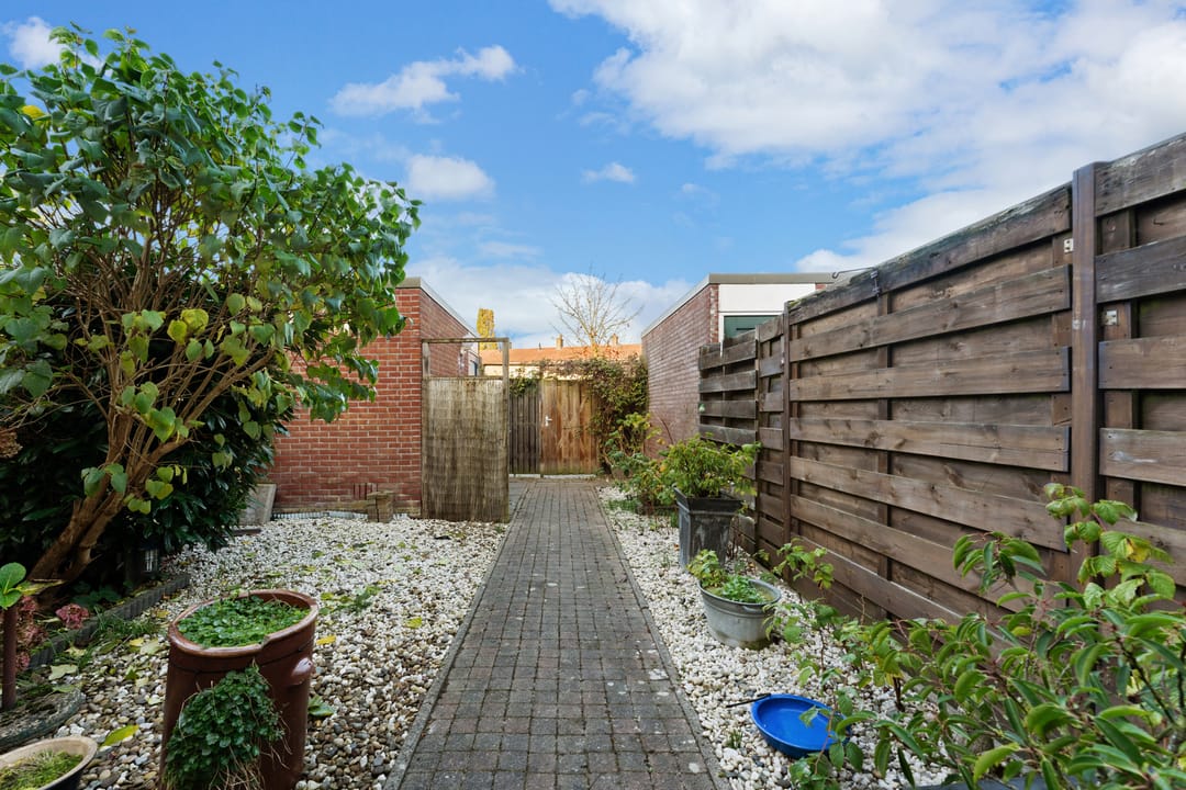 Foto 31 van Groene Zoom 34