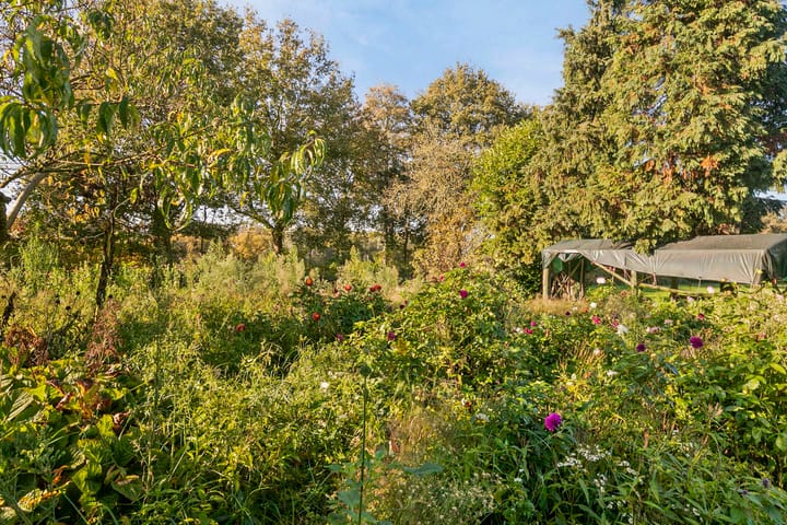 Foto 31 van Pastoor van Schijndelstraat 11