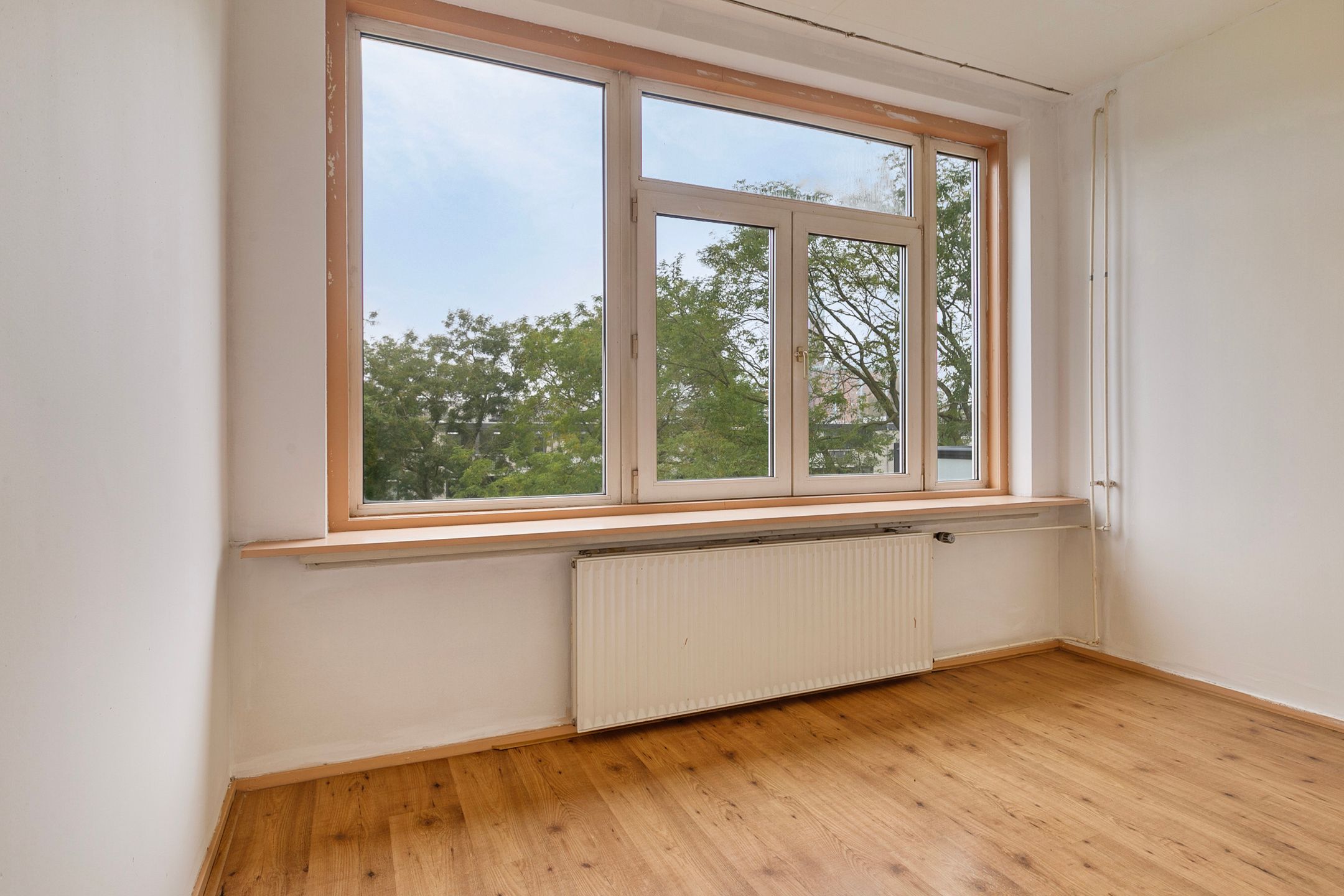 Foto 15 van Frits Ruysstraat 41-D