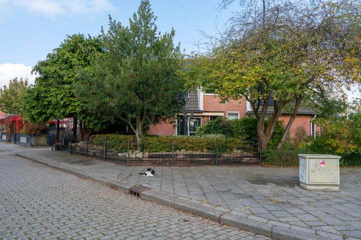 Photo 31 of Nijensteinheerd 252