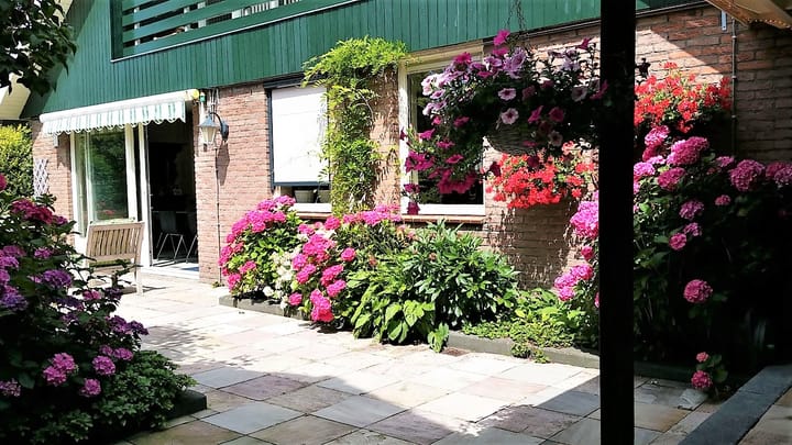 Foto 13 van Lingewijk 1-A