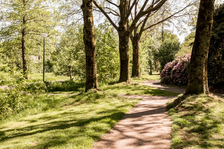 Bekijk foto 35 van Lingewijk 1-A