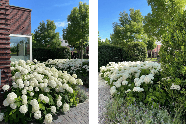 Foto 9 van Copernicuslaan 20