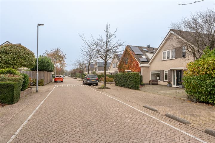 View photo 30 of Willem Coepijnstraat 11