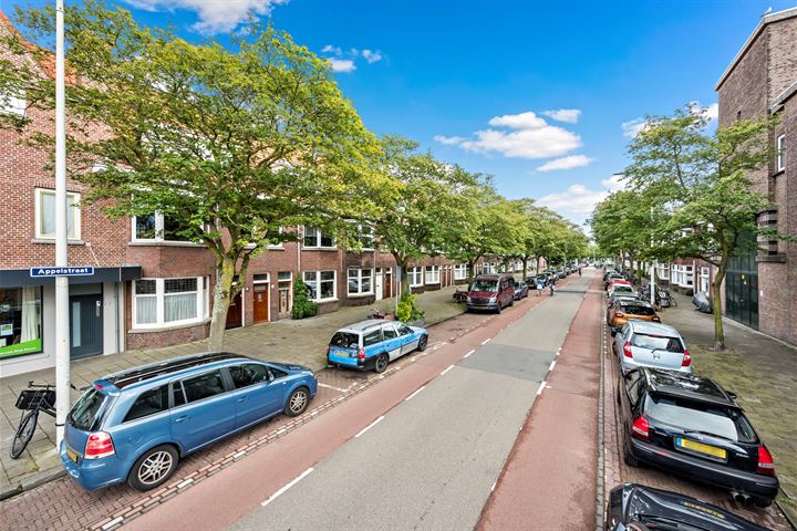 Bekijk foto 43 van Appelstraat 28