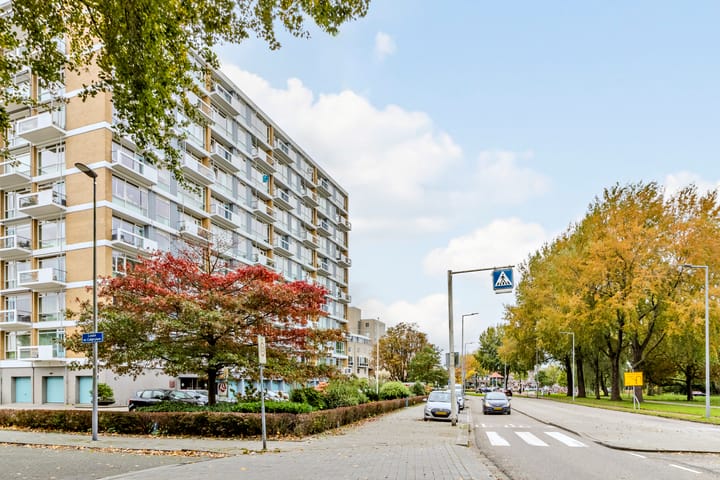 Photo 44 of Kralingseweg 163