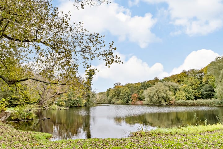 Photo 41 of Kralingseweg 163