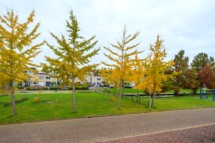 Bekijk foto 43 van Nescioplantsoen 33