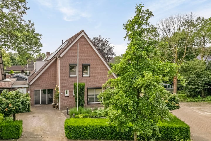 Foto 2 van Donk 19