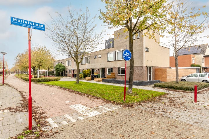 Foto 6 van Multatulipad 79