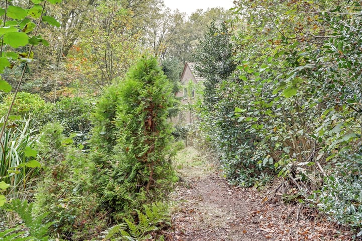 Foto 56 van Molenweg 11