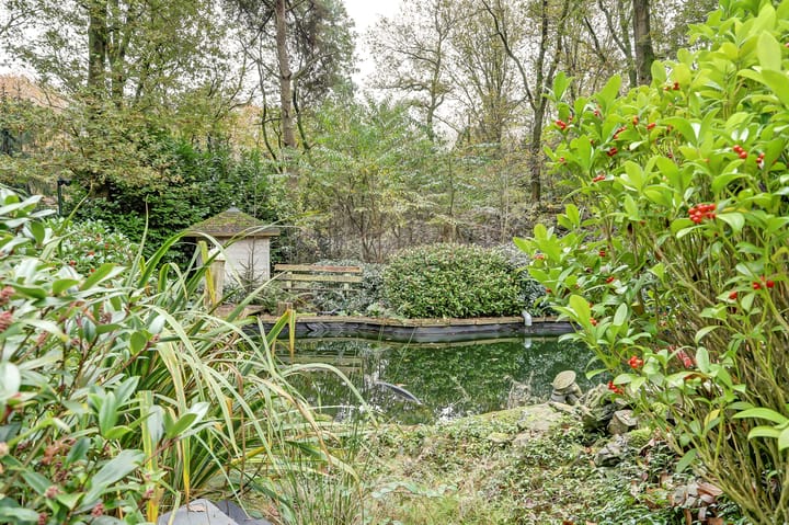 Foto 57 van Molenweg 11