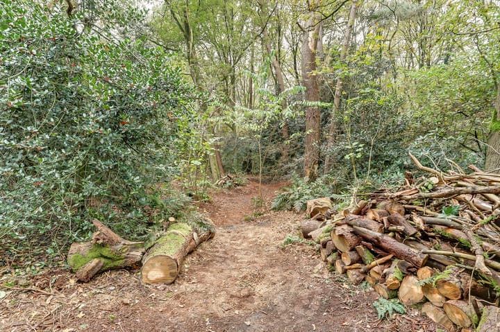 Foto 61 van Molenweg 11