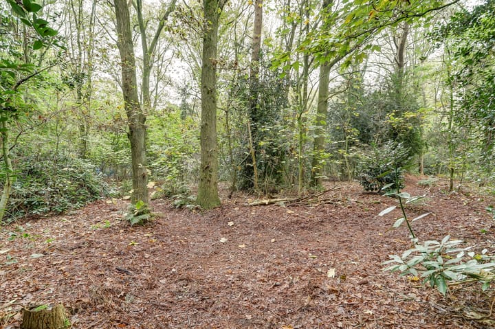 Foto 62 van Molenweg 11