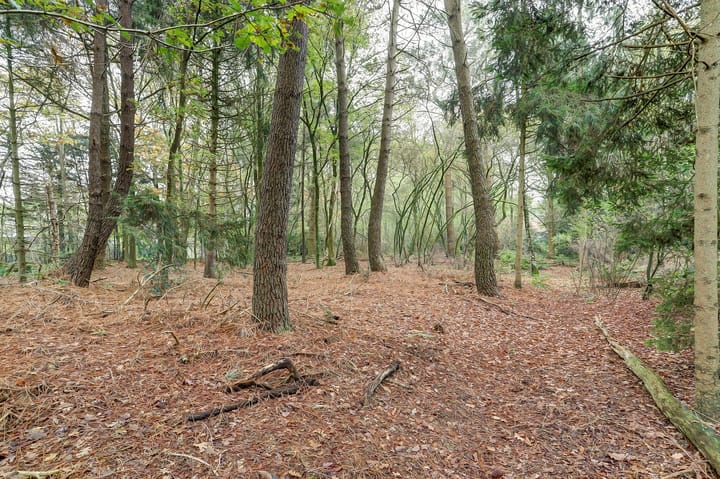 Foto 71 van Molenweg 11