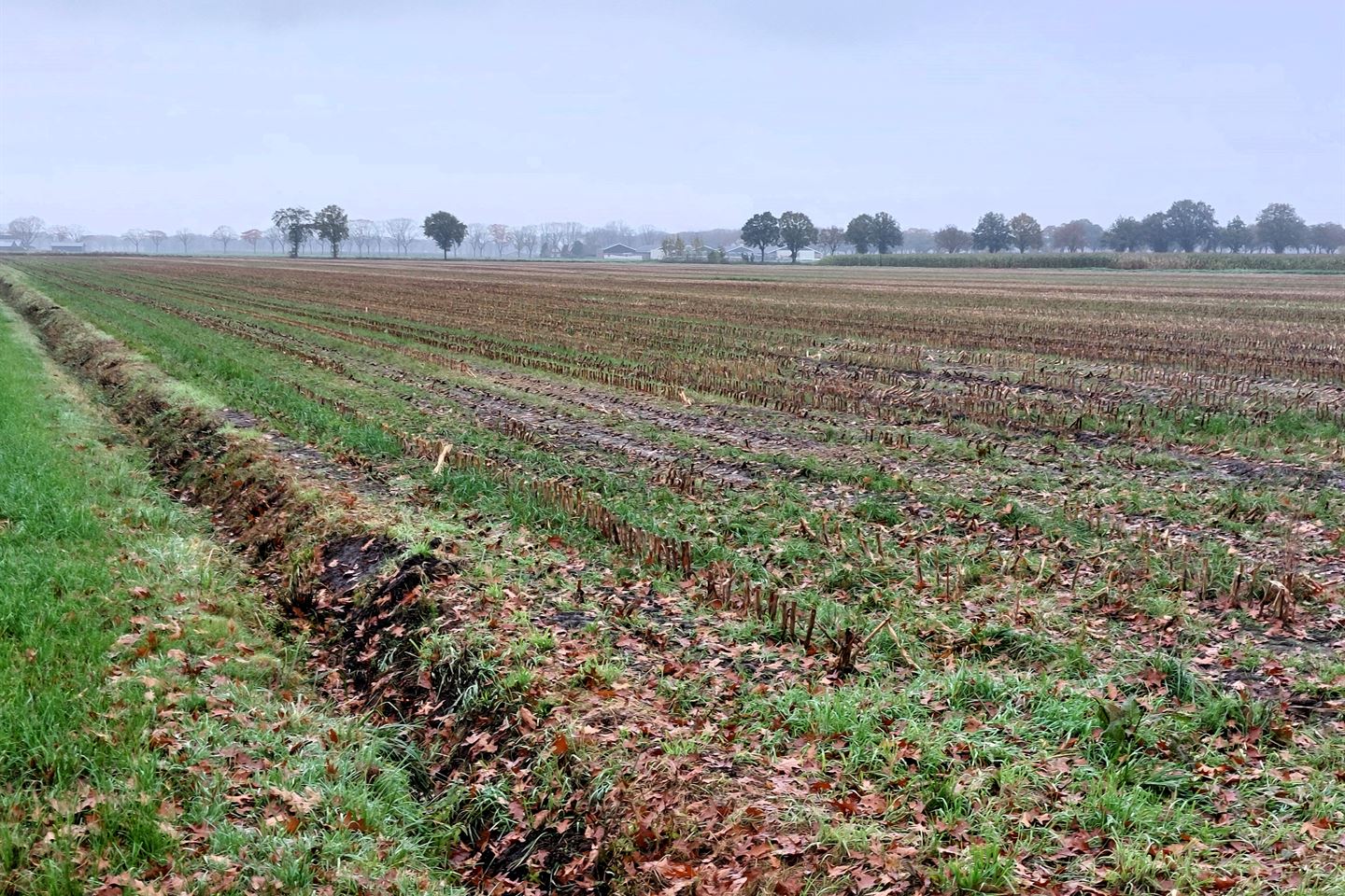 View photo 3 of Elzenweg/Roggeweg