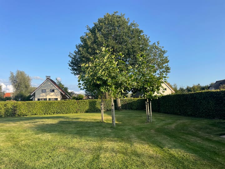 Foto 51 van Eysinga-State 244