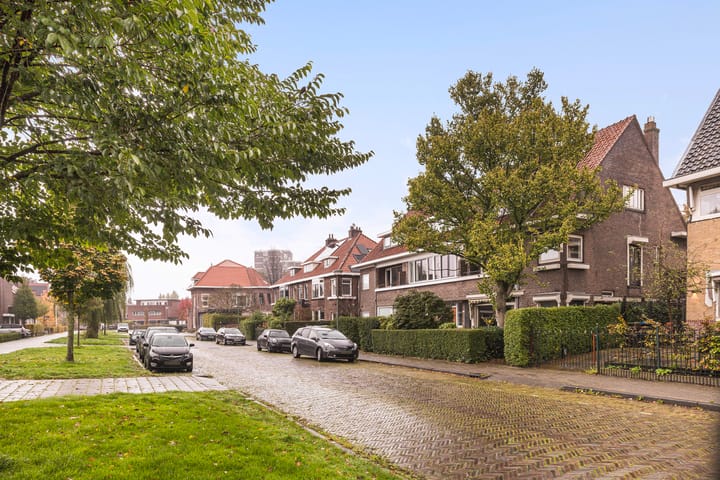 Foto 47 van Anna van Burenstraat 17