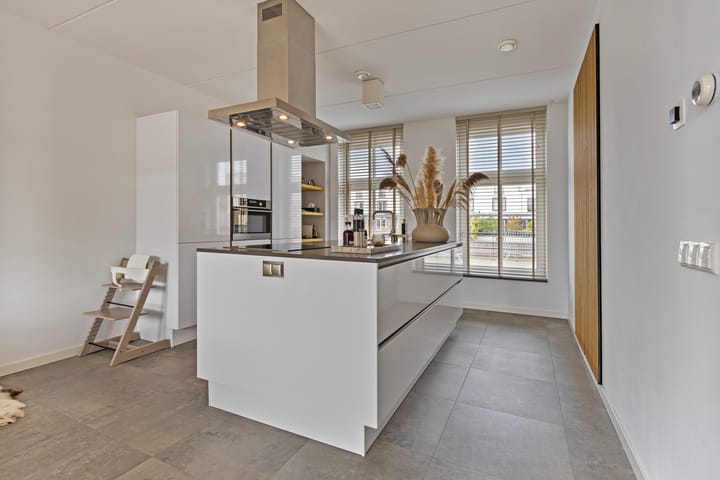 Foto 27 van Zilverschat 28