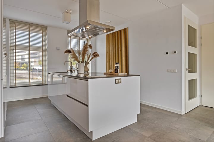 Foto 28 van Zilverschat 28